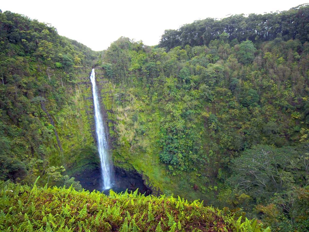 Kona Reef Hawaii By Raintree 3*